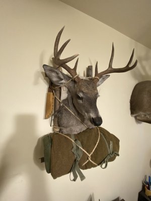 IMG_3312.jpeg