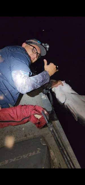 IMG_20230802_000548.jpg