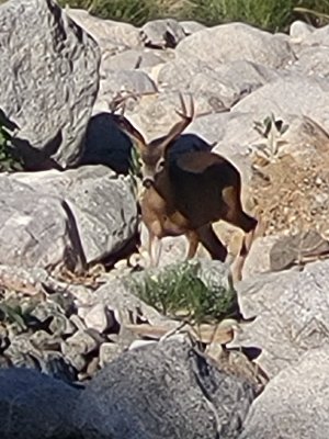 Resized_20230807_075454.jpeg