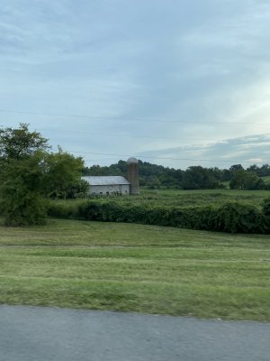 IMG_3542 copy.jpg