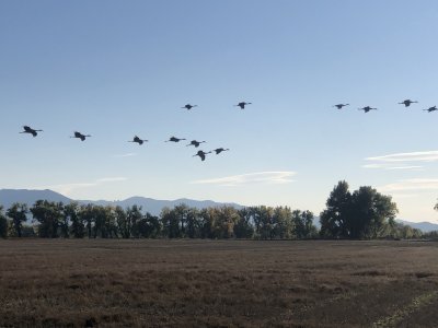 IMG_6924.JPG