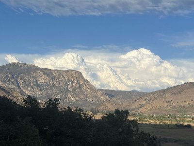 IMG_2393.jpeg