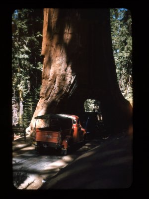 scan049.jpg
