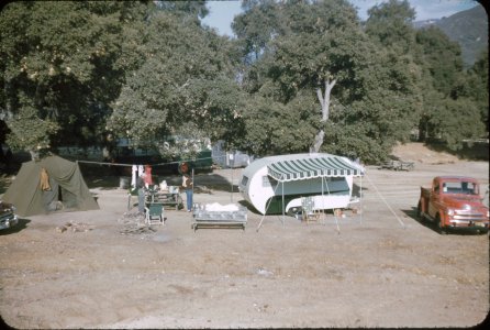 scan018.jpg