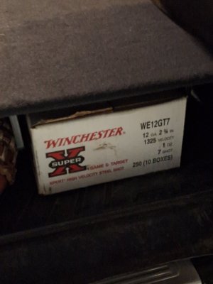 20230827_205917.jpg