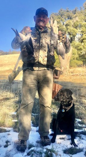 bandtail w mike '22 2.JPG