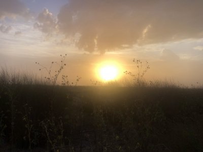 IMG_1550.JPG