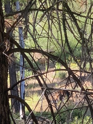 IMG_6991.jpeg