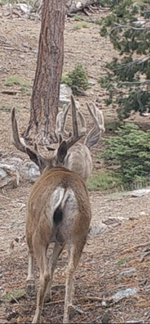 IMG_7277.png