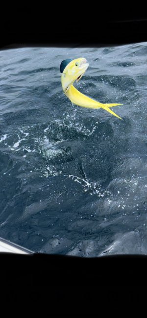 IMG_2672.jpeg