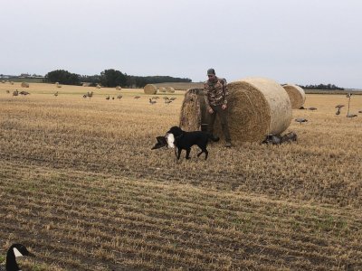 IMG_2139.JPG