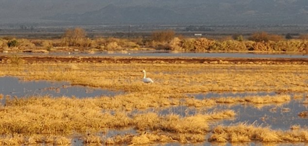 20221227_071706.jpg