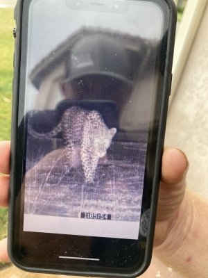 IMG_7980.jpeg
