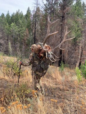 ID Archery.jpg