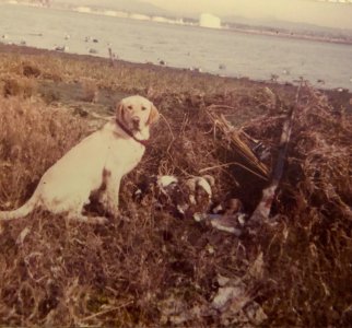 old pix sd bay.JPG