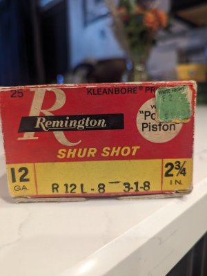 PXL_20231020_032902494.jpg