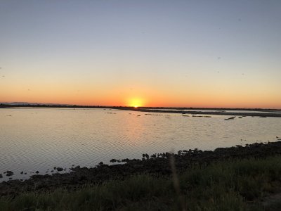 IMG_2902.JPG