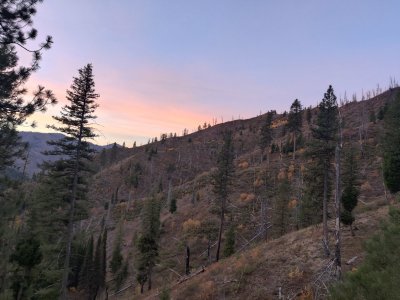 IMG_20231016_074849.jpg