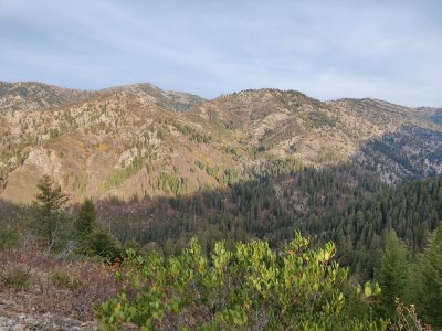 IMG_20231016_090303.jpg
