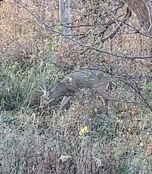 20231101_094005.jpg