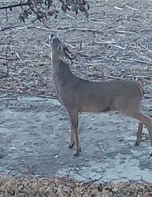 VideoCapture_20231106-074306.jpg