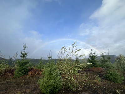 IMG_2390.JPG