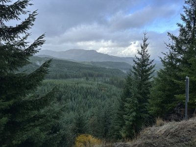IMG_2405.JPG