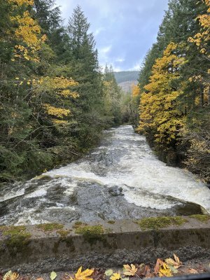 IMG_2410.JPG