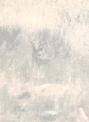 Screenshot_20231112-105009.png