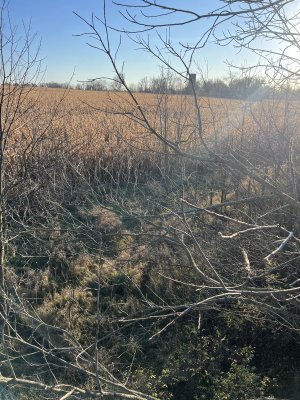 IMG_6355.jpeg