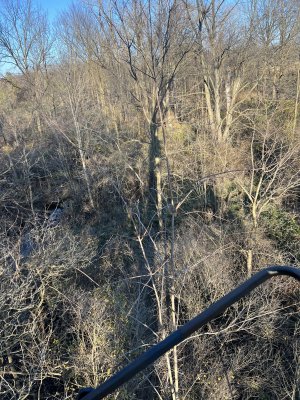 IMG_6356.jpeg