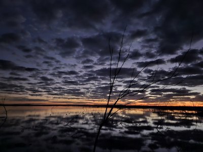 20231125_053254.jpg