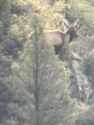 IMG_5766.jpeg