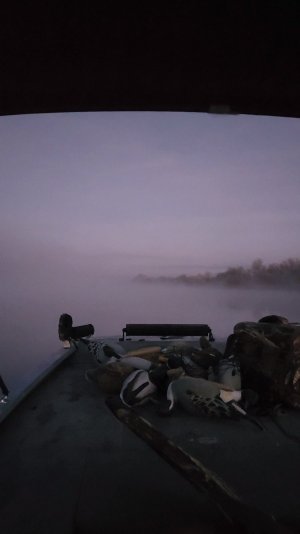 VideoCapture_20231122-152255.jpg