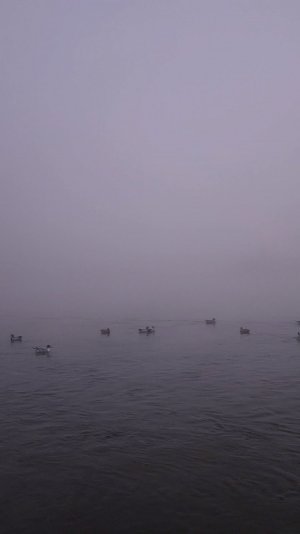 VideoCapture_20231127-093209.jpg