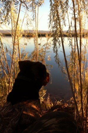 IMG_0139.jpeg
