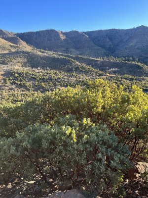 IMG_5906.jpeg