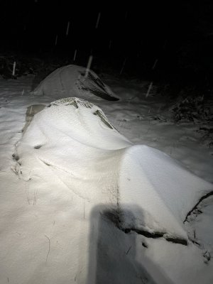 IMG_1902.jpeg