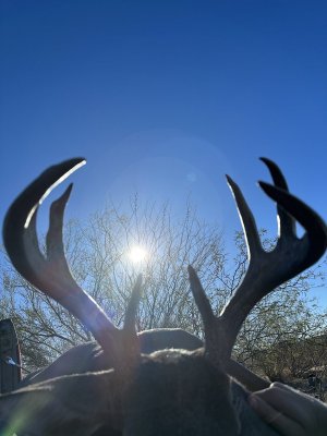 IMG_6847.jpeg