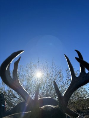 IMG_6846.jpeg