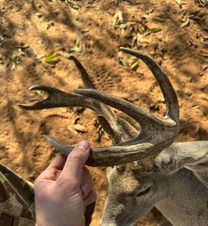 IMG_6929.jpeg