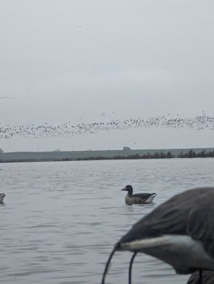 PXL_20231230_152046361.jpg