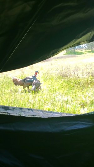 VideoCapture_20220403-211557.jpg