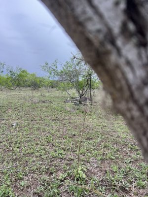 IMG_5555.jpeg