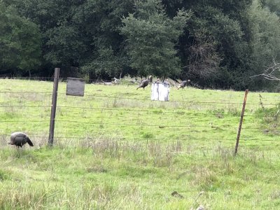 jakes  youth hunt 2024.JPG