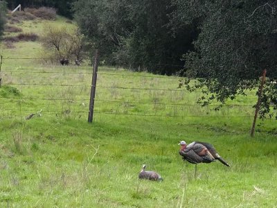 4 youth hunt 2024.JPG