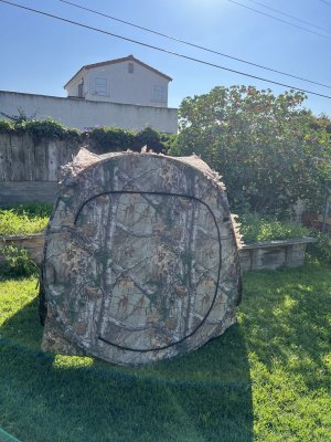 IMG_7963.jpeg