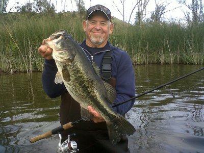 Hodges bass.jpg