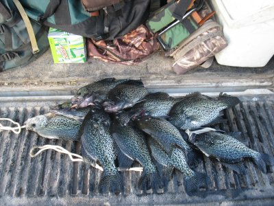 turkey-henshaw crappie 4-10-12 011.JPG