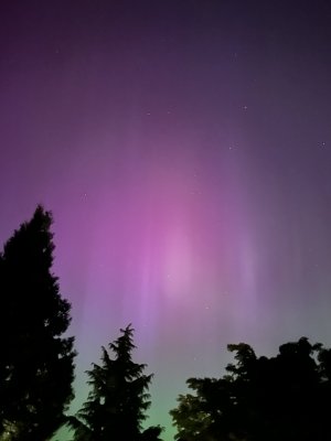 IMG_3750.jpeg